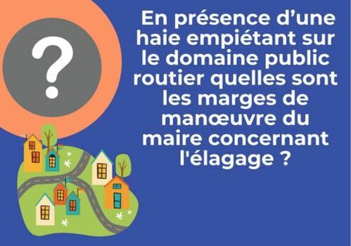 En présence d'une haie empiétant sur le domaine public routier, quelles sont les marges du manoeuvre du maire concernant l'élagage ?